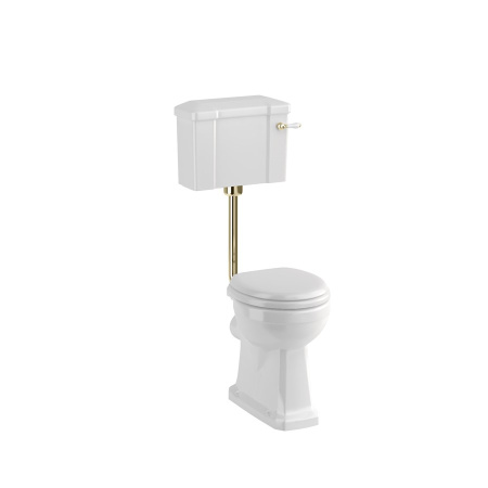 c1-p2-t31-gold_w900_h900